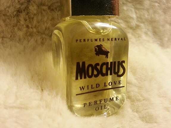 Wild moschus love oil Moschus Wild